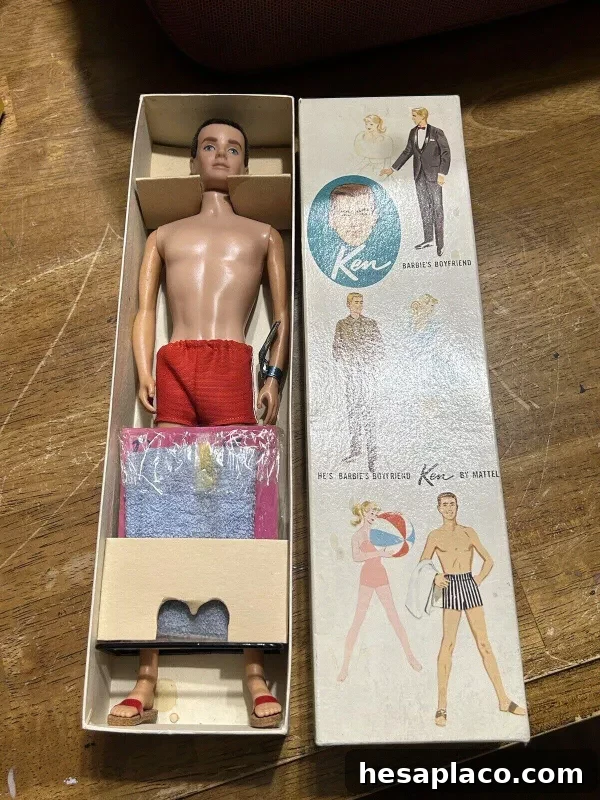 Ken Brunette Flocked Hair