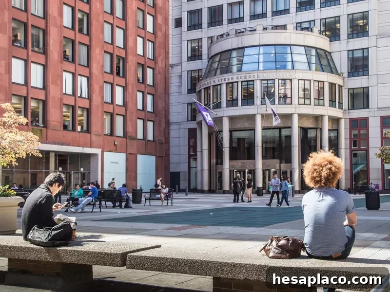 New York University NYU
