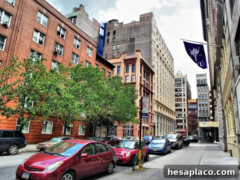 New York University buildings