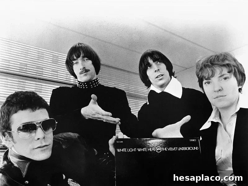 The Velvet Underground