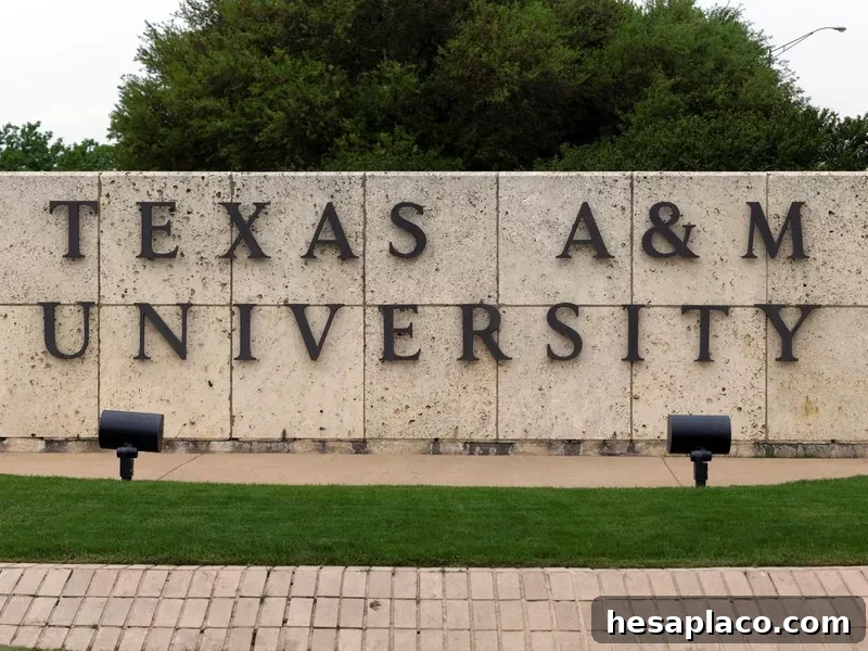 Texas A&M University