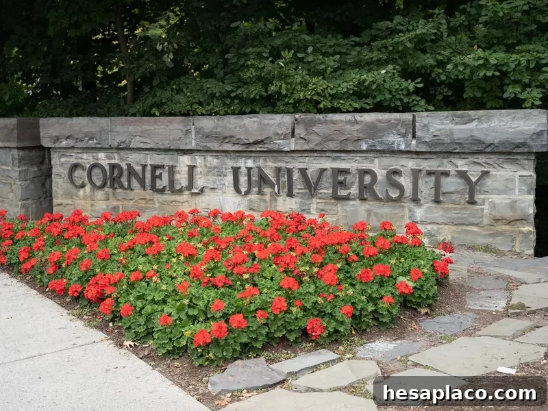 Cornell University entrance sign