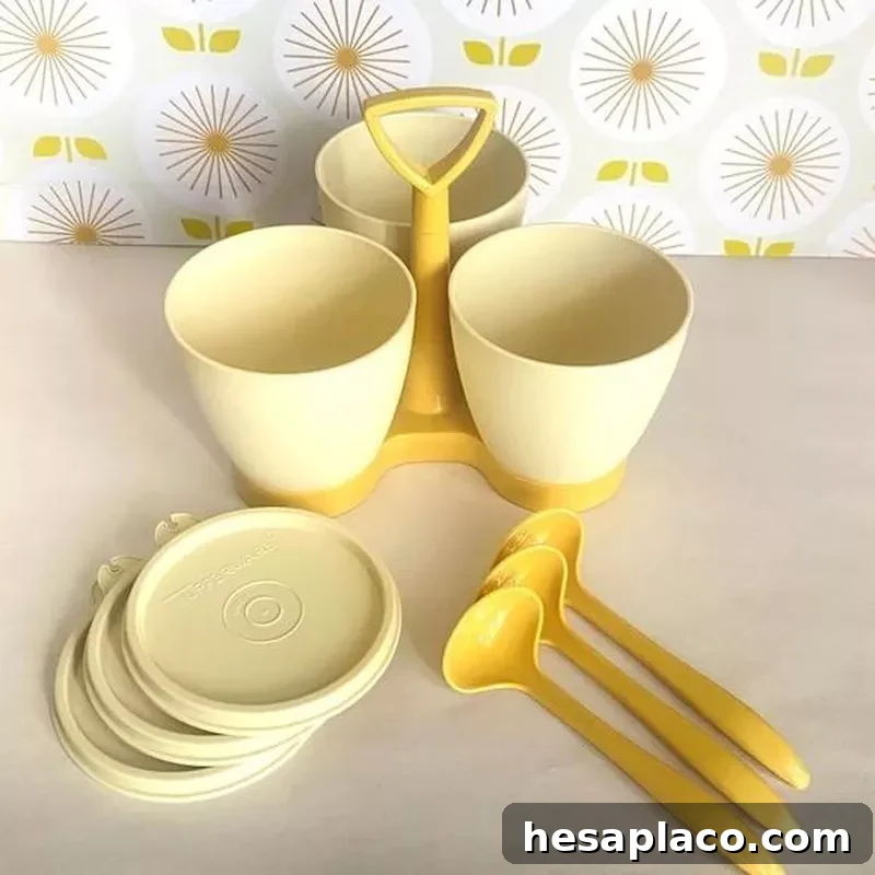 Condiment Caddy