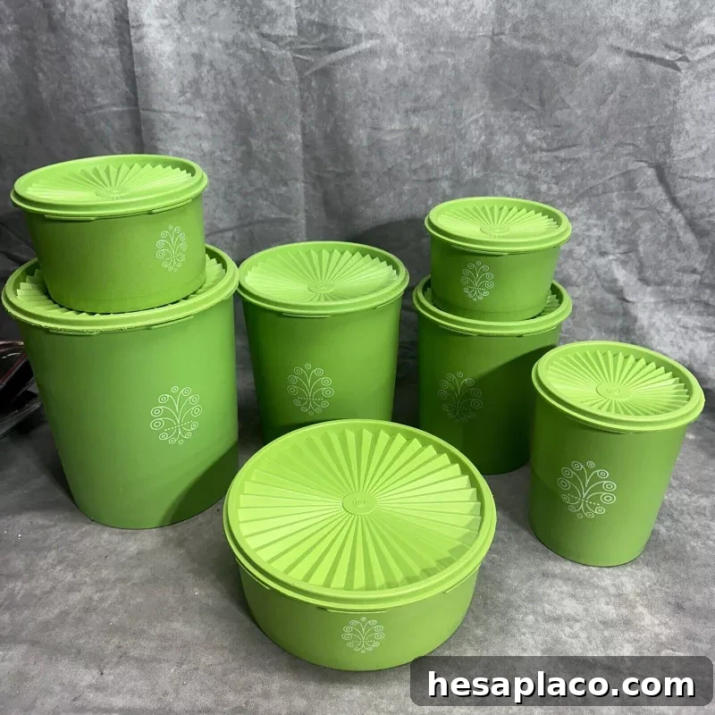 Servalier Canister Set