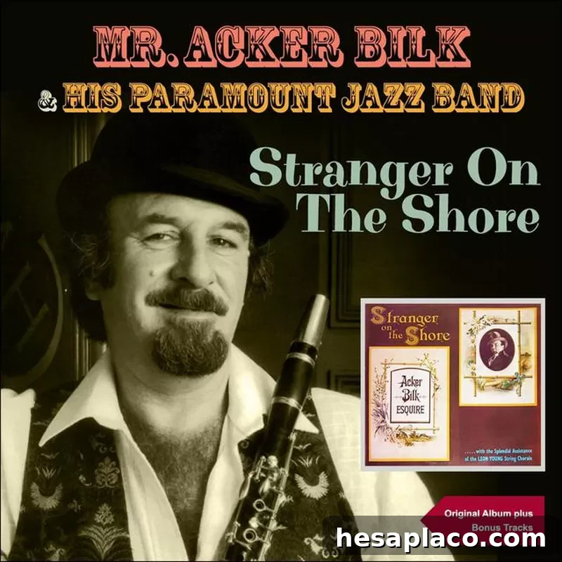Stranger On The Shore 45