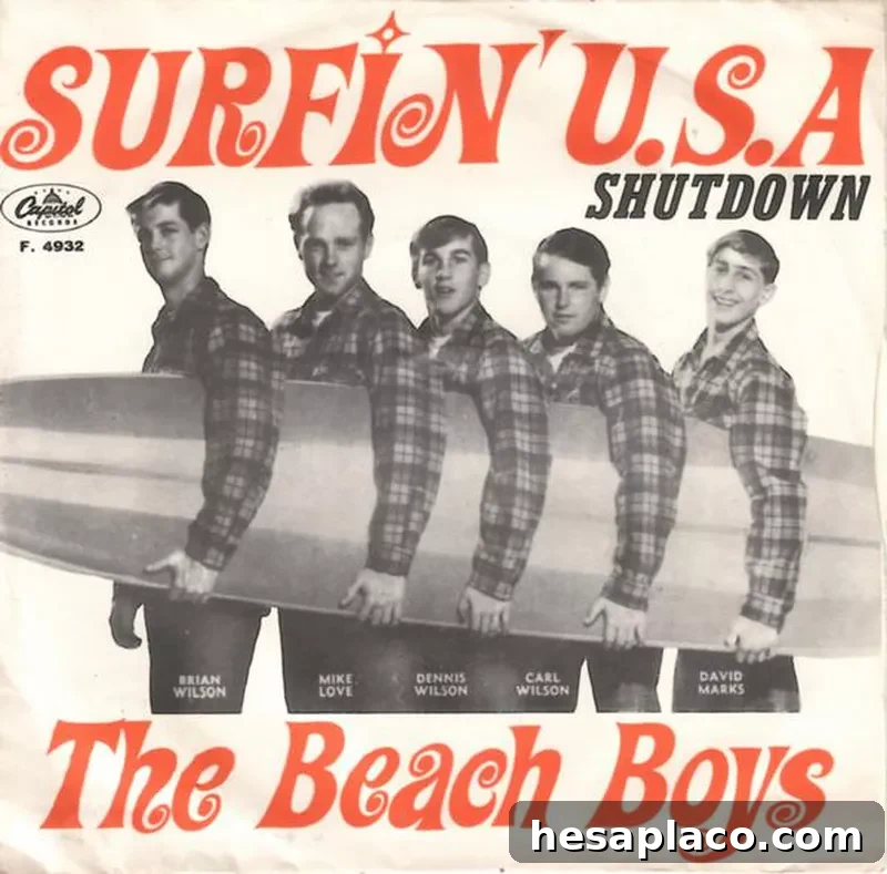 Surfin U.S.A. single