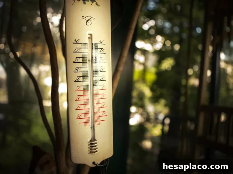 Rustic thermometer