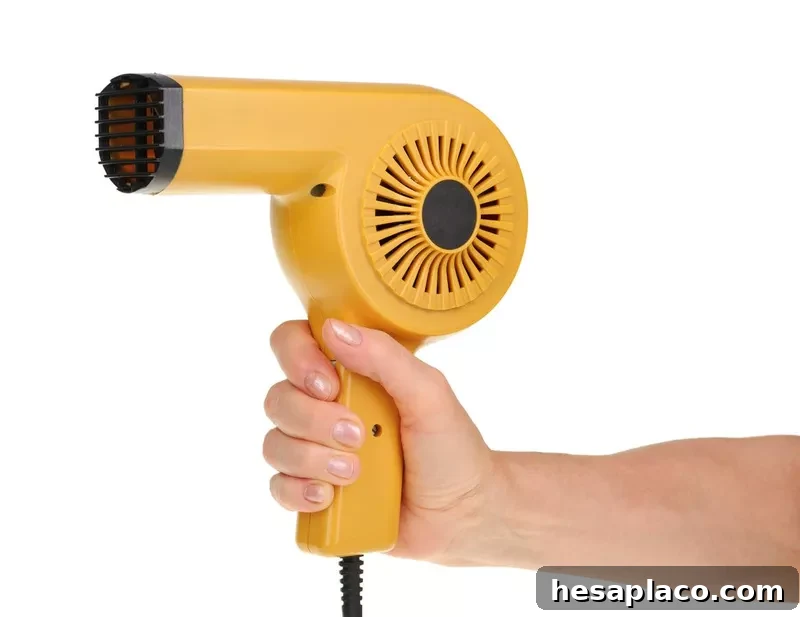 An old hairdryer
