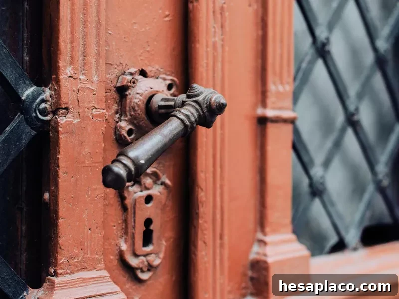 Vintage door handle