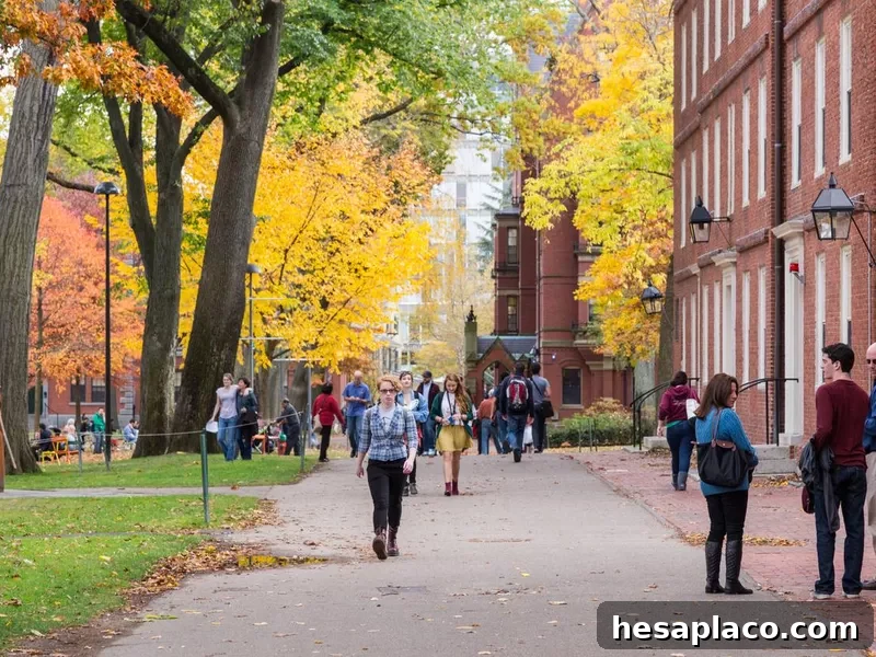 Harvard campus with brilliant fall foliage