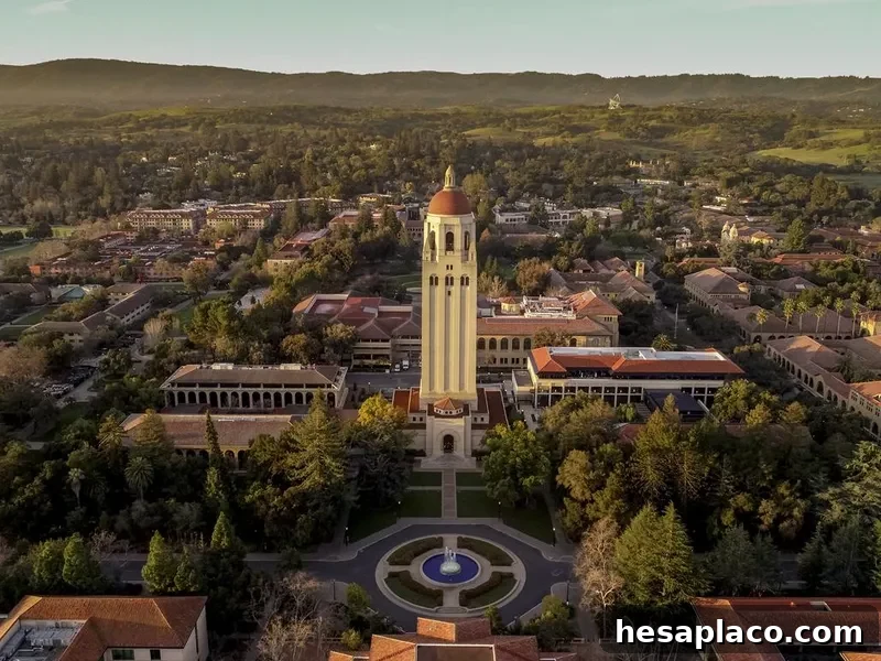 Stanford University