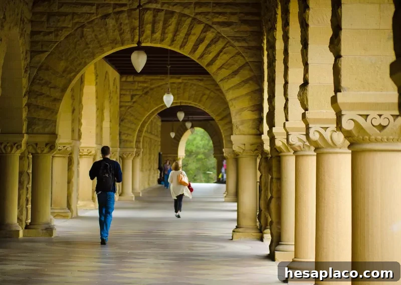Students walking at Stanford University