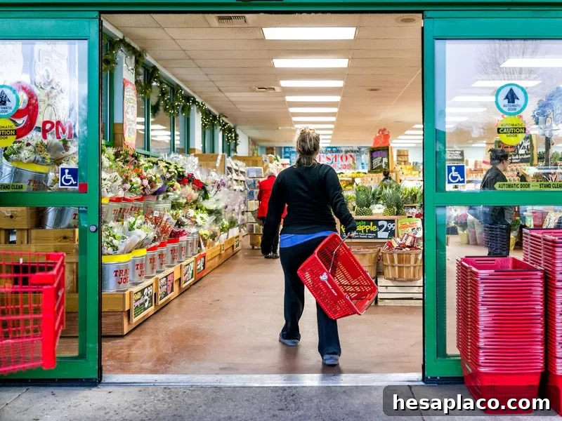 Trader Joe's customer trolley shopping basket carrying carts by store entrance doors outside women, winter flower pots, gardening plants, pineapple in Virginia