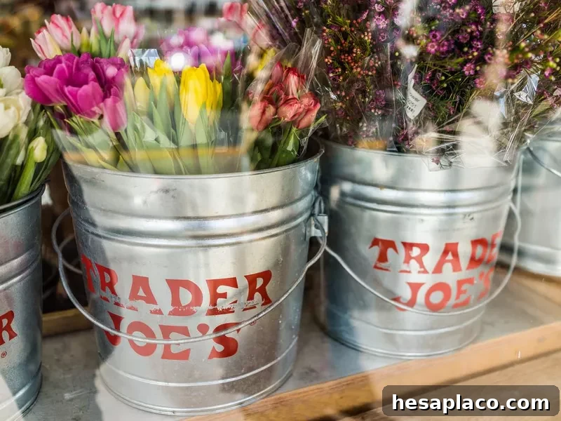 Buckets of flowers with Trader Joe's signs viewed from outside of store