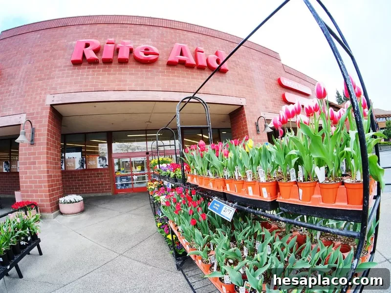 Rite Aid Store