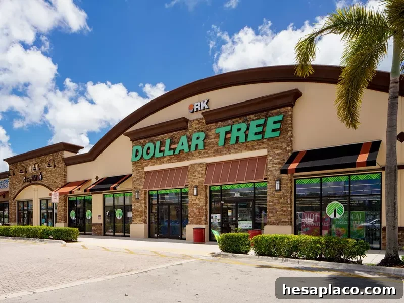 Dollar Tree RK Center Davie FL