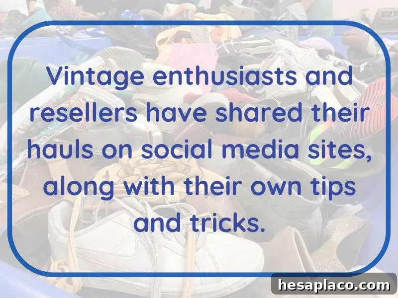 Vintage enthusiasts