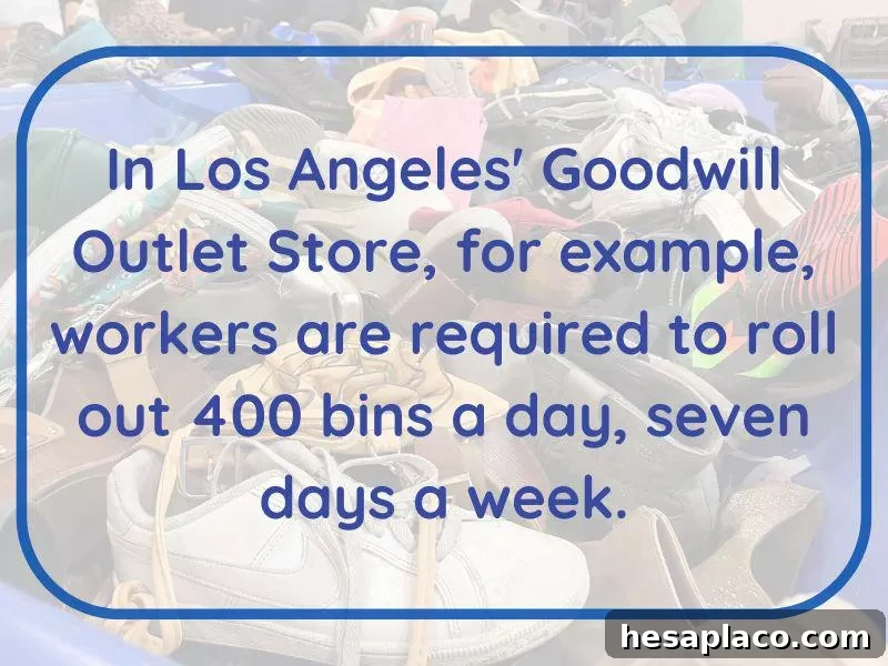 LA's outlet store