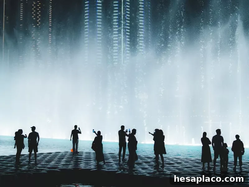 people looking the Fountain performance