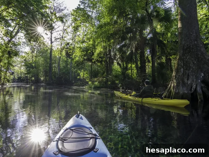 Kayaker Photographing at Dawn on the Silver River