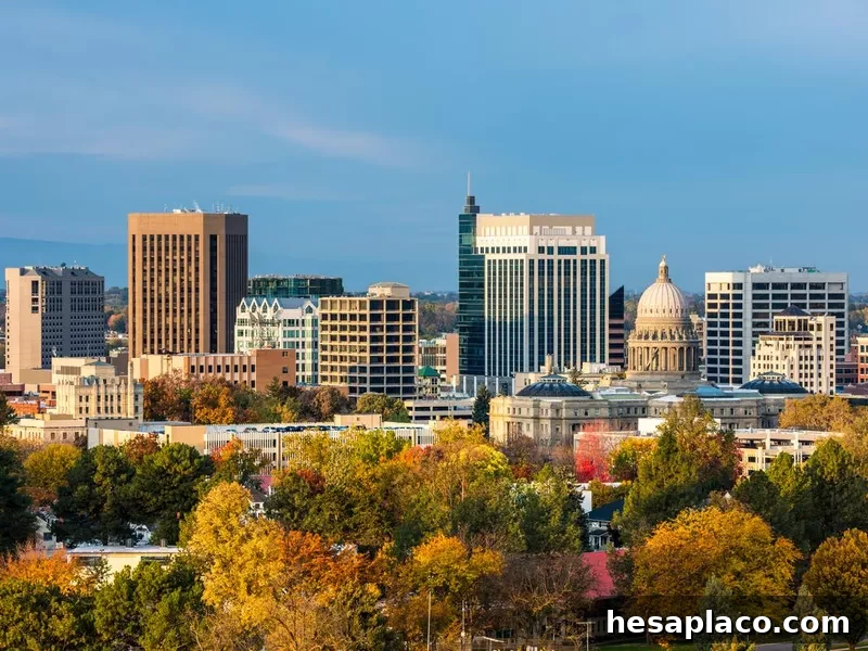 Autumn trees and the skyline of Boise Idaho