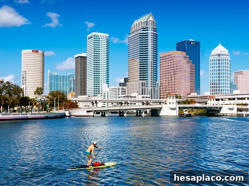 Paddle Boarding in Tampa Florida