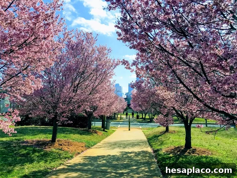 Spring Color on the Greenway