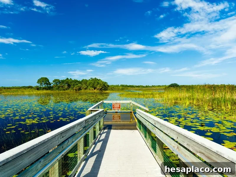 Florida Nature Preserve