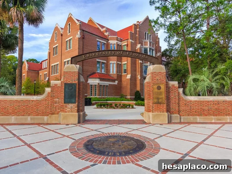 The University of Florida