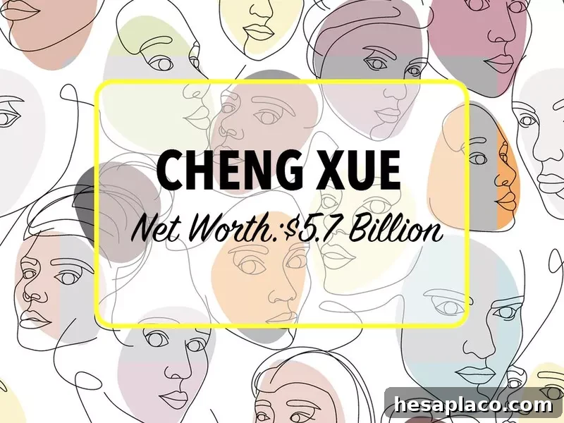 Cheng Xue Net Worth