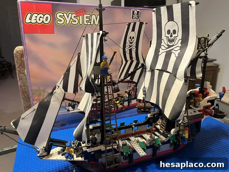 Skull's Eye Schooner Set