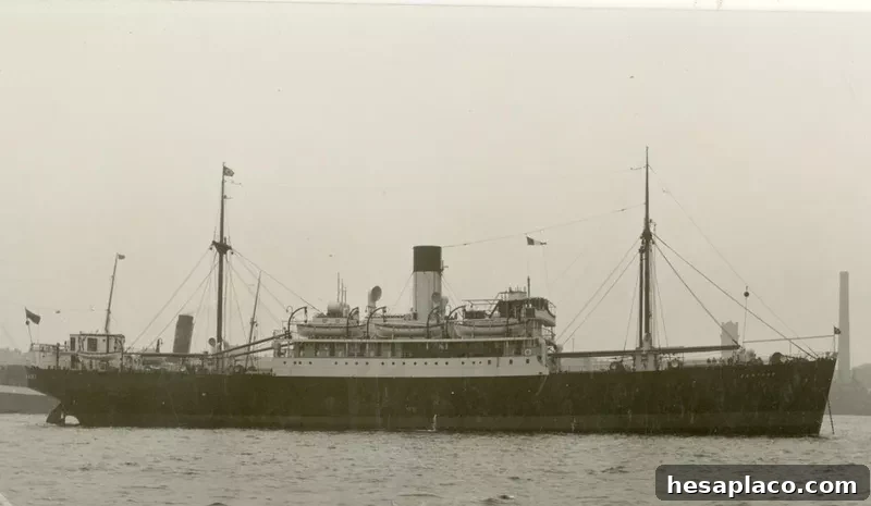 Example of a WW2 British merchant ship