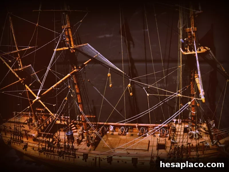 A model of the Wydah