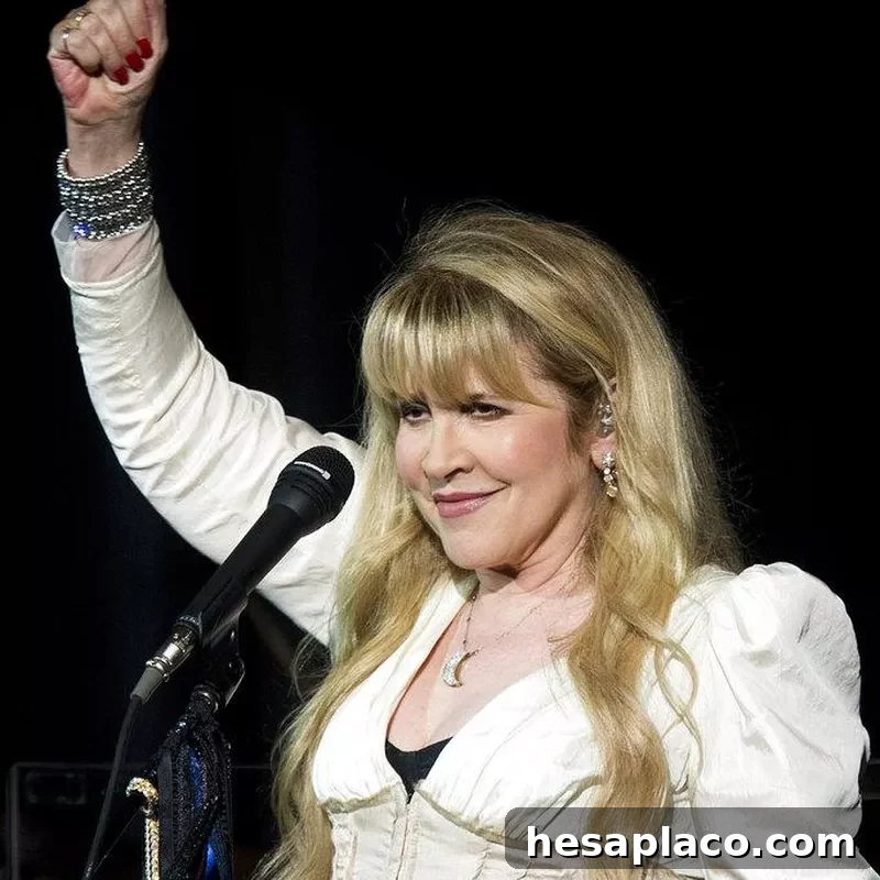 Stevie Nicks