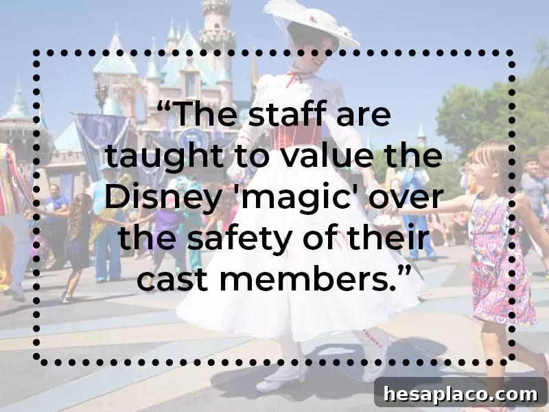 Disneyland Jobs What Redditors Say They Are Really Like 3 Disneyland cast member support and guest safety