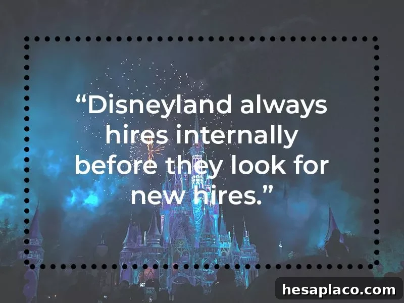Disneyland Jobs What Redditors Say They Are Really Like 7 Applying for Disneyland jobs and cast member roles