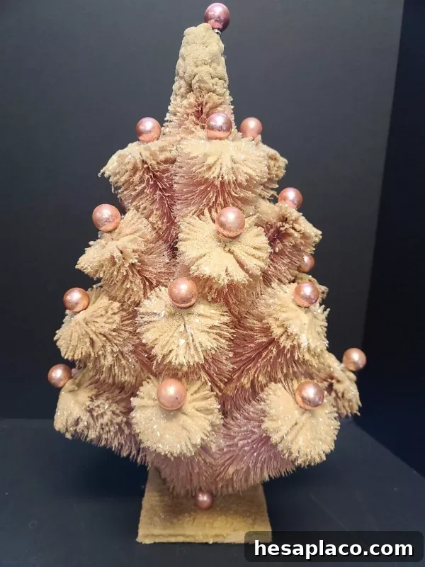 Bottle brush tree
