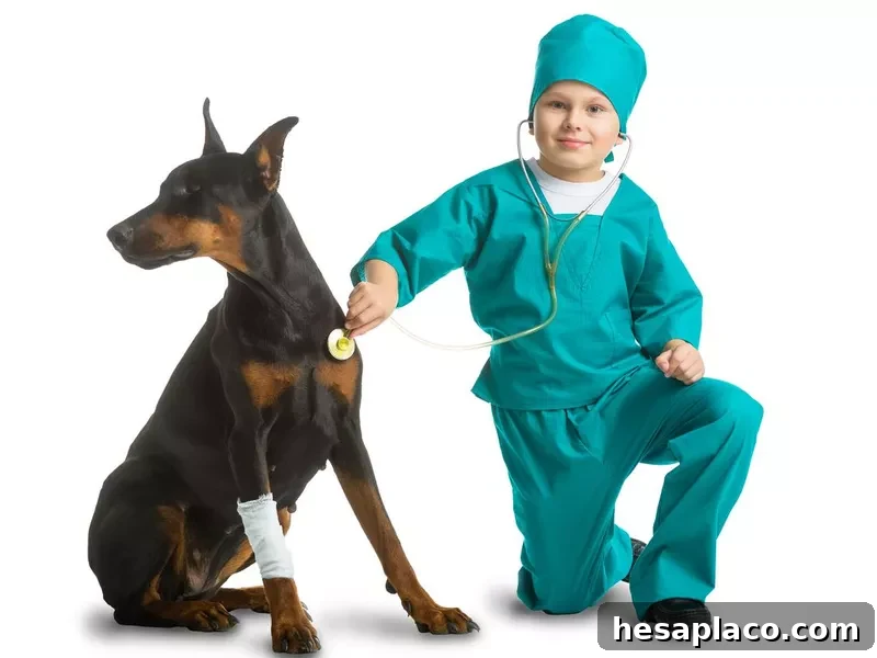 Little boy playing vet