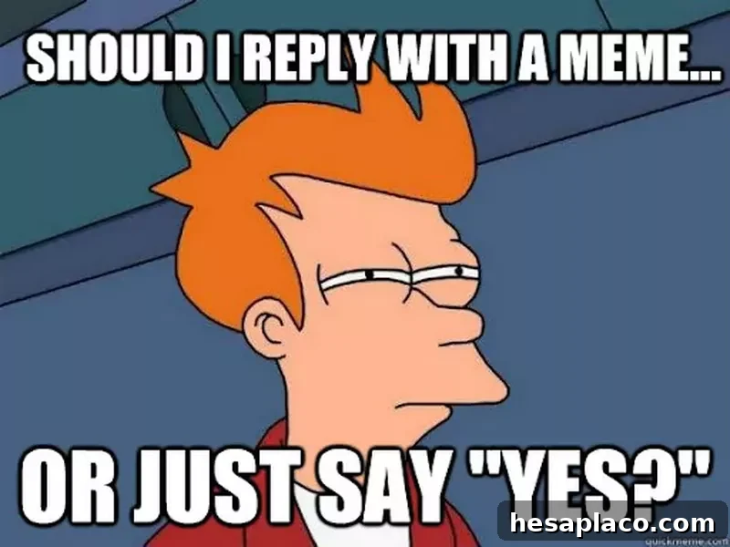 Futurama Fry Meme