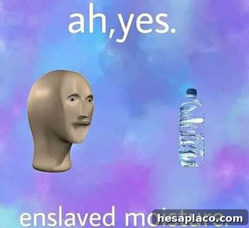 Enslaved Moisture Yes Head