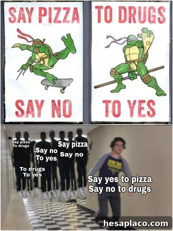 Ninja Turtle Funny Posters