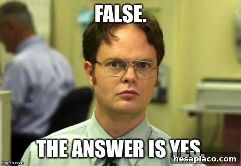 The Office Dwight Meme