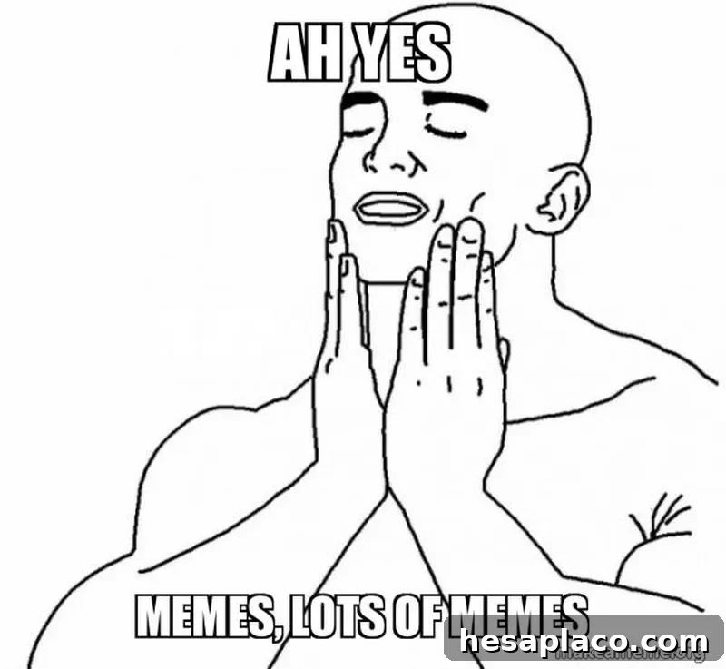 Lots of Memes