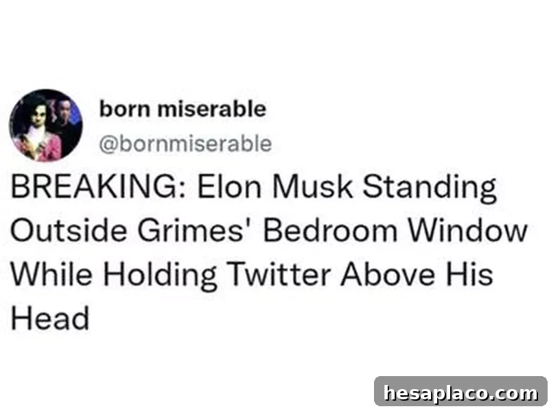 Elon Musk meme