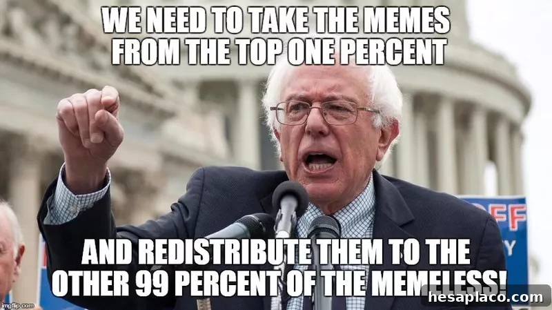 Bernie Sanders meme