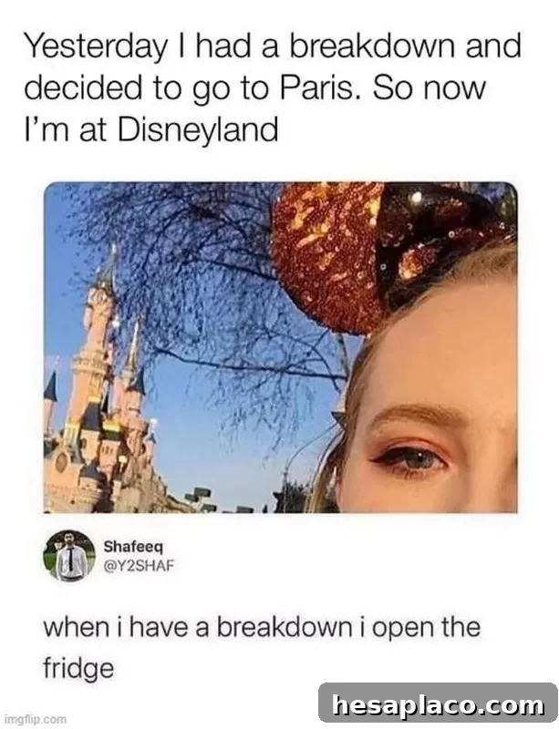 Disneyland Meme