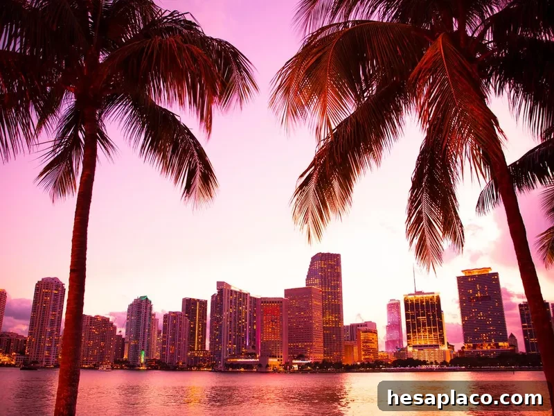 Miami skyline