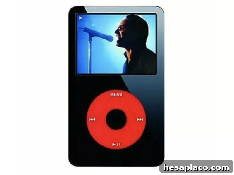 4th gen U2 ipod