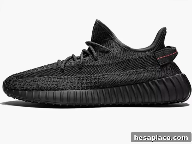 Yeezy Boost 350 shoe