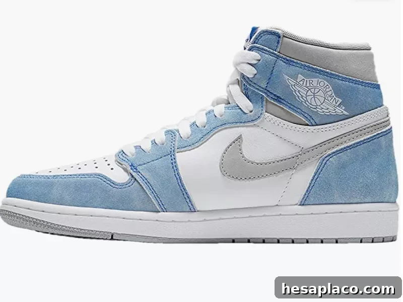 Retro Air Jordan 1
